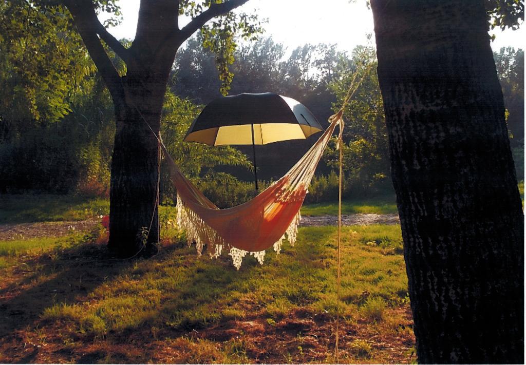 Camping Bellerive Montfrin Dış mekan fotoğraf