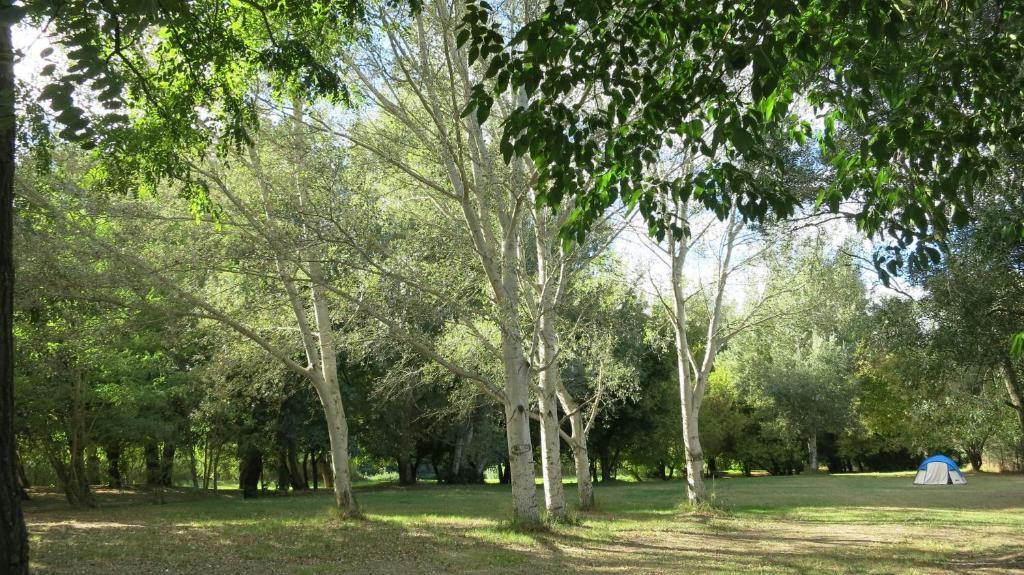Camping Bellerive Montfrin Dış mekan fotoğraf